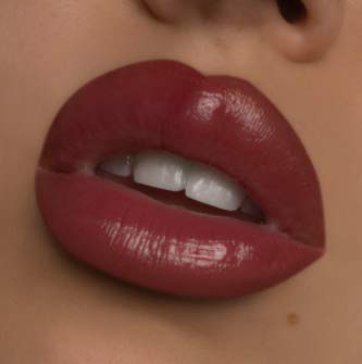 KAB Cosmetics Lip Kit (Wine +