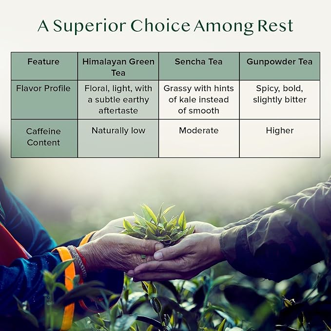 HANDPICK, Organic Green Tea Bags - 100 Eco-Friendly Tea Bags | USDA Organic | Resealable Pack for Freshness | Delicate & Flavory | Direct From India