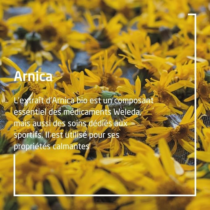 Weleda 9920 Arnica Massage Oil 50 ml