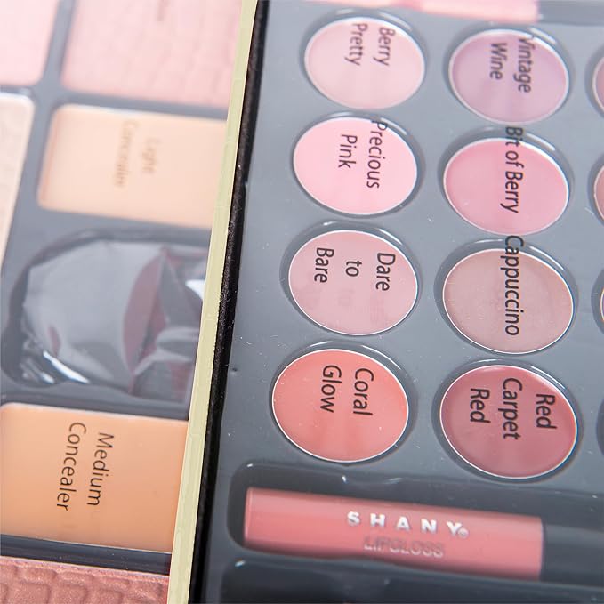 SHANY All In One Makeup Kit (Eyeshadow, Blushes,