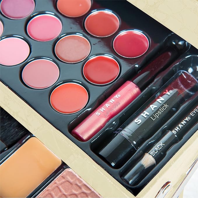 SHANY All In One Makeup Kit (Eyeshadow, Blushes,