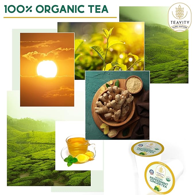 Organic Ginger Tea Pods for Keurig with Organic Peppermint Tea - Decaf Tea for K Cup Brewing Peppermint Ginger by Teavity (12 Tea Pods)