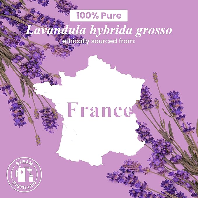 Handcraft Blends Lavender Essential Oil - 1 Fl Oz - 100% Pure and Natural - Premium Grade Essential Oil for Diffuser and Aromatherapy