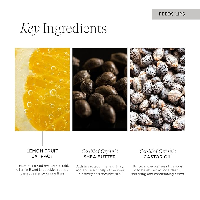 OneBody Lip Delivery Nutrition, Antioxidant-Rich Lip Oz