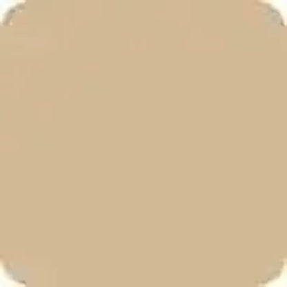 NARS Natural Radiant Longwear Foundation - Punjab by - Foundation 1 oz