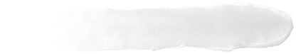 Burt's Bees 100% Natural Moisturizing Lip