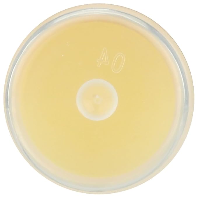 LIP BALM Mongo Kiss 6-Pack (6 Lips