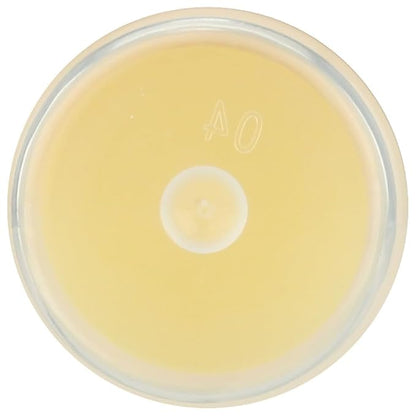 LIP BALM Mongo Kiss 6-Pack (6 Lips