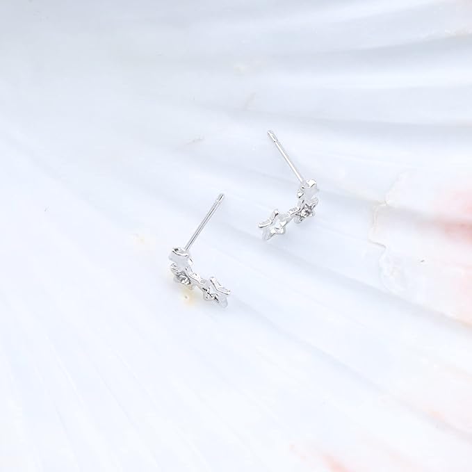 Bohemia Star Climber Crawler Earrings Silver