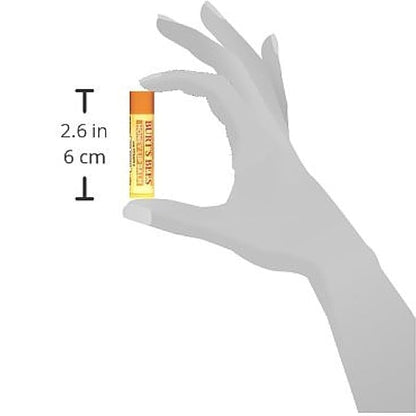 Burt's Bees Honey Moisturizing Lip Balm