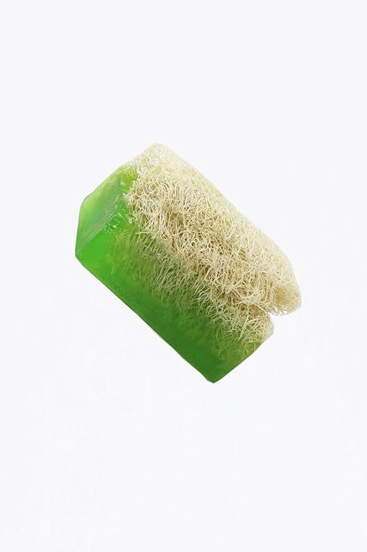 Pumpkin fiber soap (Aloe Vera)