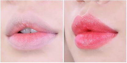 Moisture Tint Lip Balm-Vegetable oil, Shea 0.12oz.