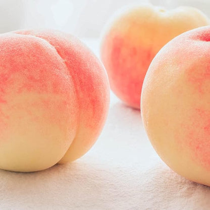 SKINFOOD Peach Cotton Pore Blur Pact - Sebum Quick Minimizer