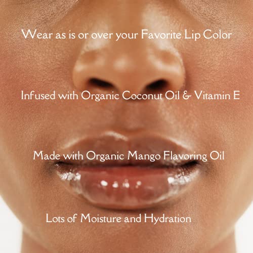 Moisturizing Lip Gloss (10 mL)- Vegan Clean Lipgloss Moisturizing