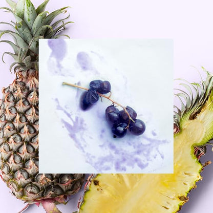 Raw Sugar Pineapple + Maqui Berry