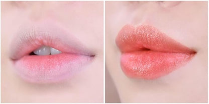 Moisture Tint Lip Balm-Vegetable oil, Shea (Coral)