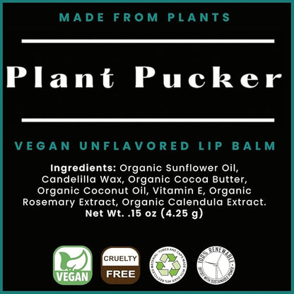 Vegan Lip Balm (3-Pack) (Unflavored)