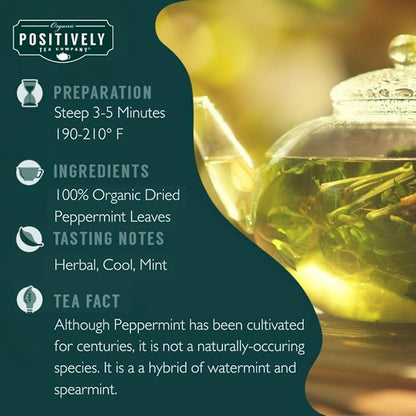 Organic Positively Tea Company, Peppermint Leaf Herbal Tea Bags, 100 Count, Eco-Friendly Tea Bags, Non-GMO