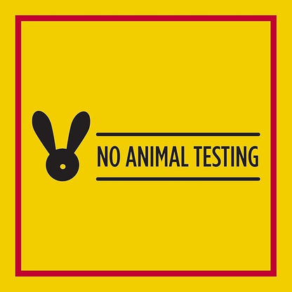 Carmex Classic Medicated Lip Balm Pack,