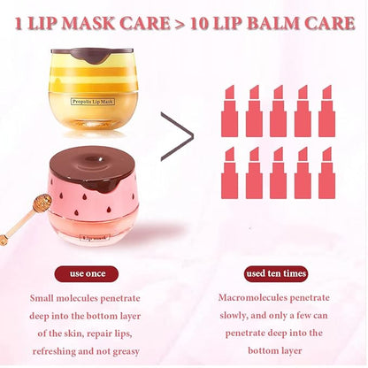 Lip Balm Honey Pot,Vitamin E Hydrating Lines