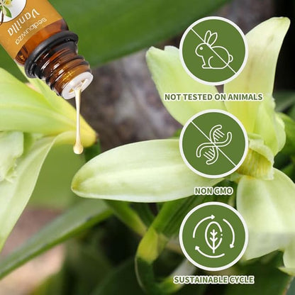 Sedbuwza Vanilla Essential Oil Set, 2 Pack Vanilla Aromatherapy Oils for Massage, Diffuser, Perfume, Soap, Candle Making 2 x 10 ml