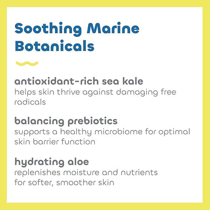 Seaweed Bath Co. Everyday Mineral SPF 40 Broad Spectrum Sunscreen Lotion, 3.4 Ounce, Sustainably Harvested Seaweed, Sea Kale, Prebiotics