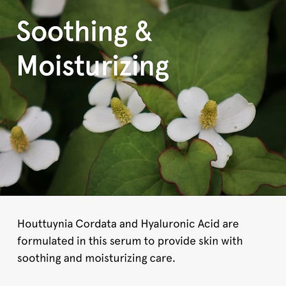 ONE THING Houttuynia Cordata Serum 2.7 Fl Oz | Heartleaf HA Hyaluronic Acid Soothing Hydrating Vegan Facial Ampoule for Acne Prone Oily Skin, Irritation Redness Barrier Relief | Korean Skin Care