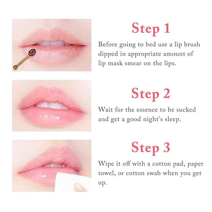 3PCS Bee Lip Balm Honey Lip Exfoliator