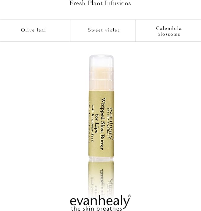 evanhealy Whipped Shea Butter for Lips Balm