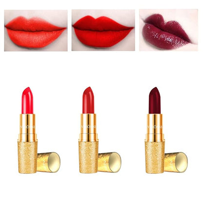 All-in-One Makeup Gift Set Carry All Makeup Kit