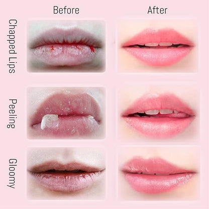 2PCS Lip Balm Honey Pot, Honey Sleeping