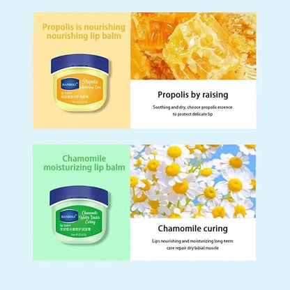 Fruit Flavored Lip Balm Set, Anti