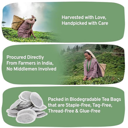 HANDPICK, Organic English Breakfast Black Tea Bags (100 Count) USDA Organic, Non-GMO | Strong, Robust, High-Caffeine Black Tea | Eco-conscious Tea Bags, Brew English Breakfast Tea & Kombucha Tea