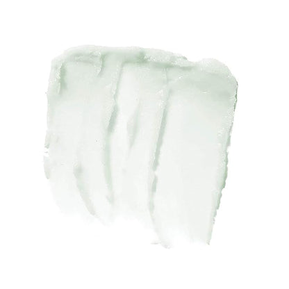 e.l.f. Lip Exfoliator, Mint Maniac, 0.11 oz.