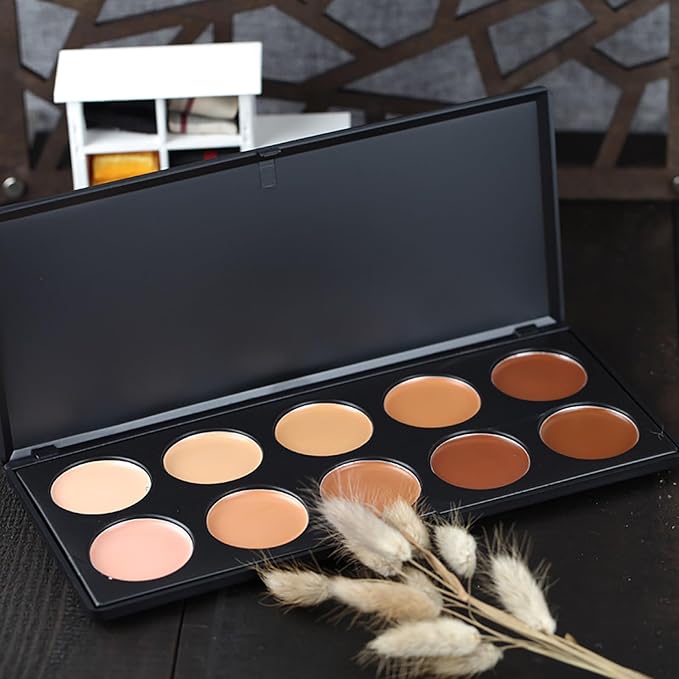 10 Shade Creamy Concealer Kit with Makeup Brush