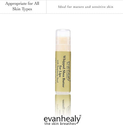 evanhealy Whipped Shea Butter for Lips Balm