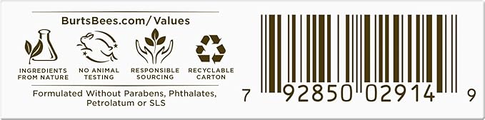 Burt's Bees Medicated Lip Balm, With