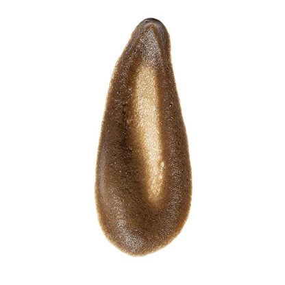 TOTAL ECLIPSE Sunless Hydrating Express Self Tan Foam Mousse - Organic Vegan Tanner, Dark/Deep Olive Finish, 6.7 fl. oz