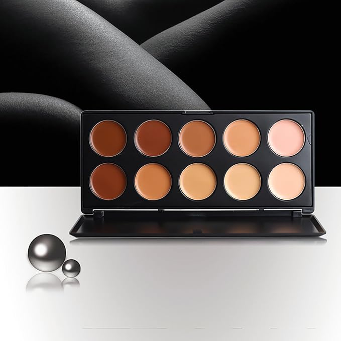 10 Shade Creamy Concealer Kit with Makeup Brush