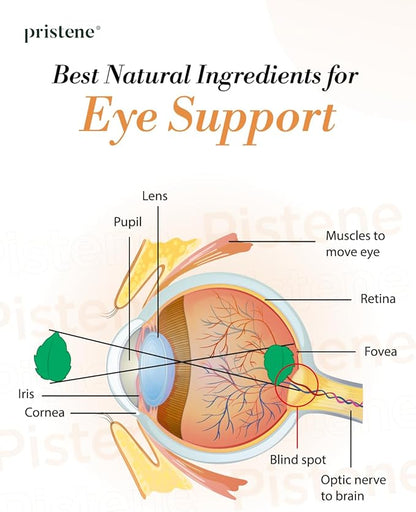 Macutene Protect Eye Vitamins for Macular Support Areds 2 with Lutein and Zeaxanthin Supplements (25mg/5mg) – Doctor Formulated Bilberry Supplement for Eyes, NSF Certified, Vegan (60 Capsules)