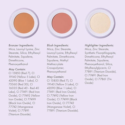Subtl Beauty 3-in-1 travel makeup kit