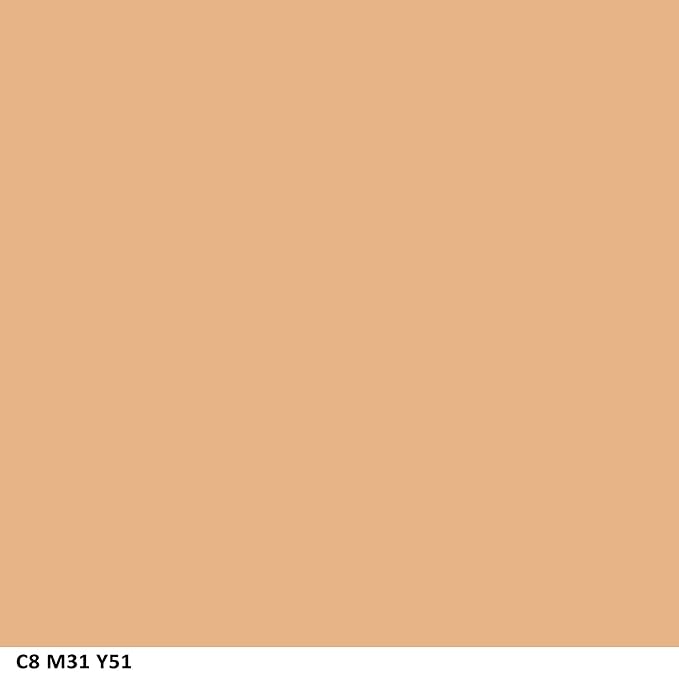 COVERGIRL Ready Set Gorgeous Fresh Complexion Concealer Medium/Deep 37 oz