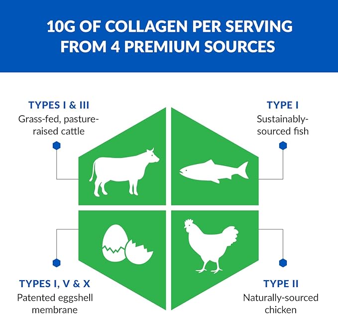 BioTrust Collagen Powder with Turmeric – 5 Types (I, II, III, V, X) – Turmeric Collagen Powder for Women & Men – Hydrolyzed Protein – Grass Fed Beef, Fish, Chicken, Eggshell Membrane (Golden Milk)
