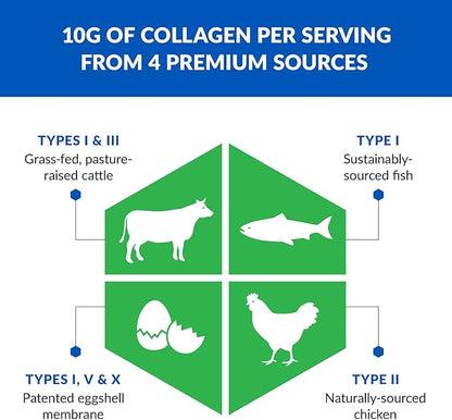 BioTrust Collagen Powder with Turmeric – 5 Types (I, II, III, V, X) – Turmeric Collagen Powder for Women & Men – Hydrolyzed Protein – Grass Fed Beef, Fish, Chicken, Eggshell Membrane (Golden Milk)
