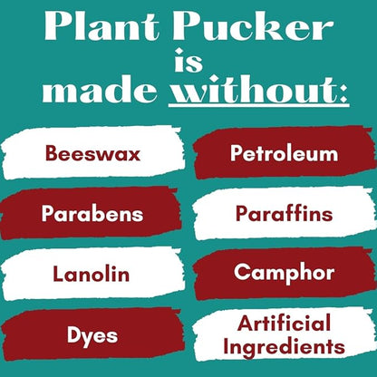 Vegan Lip Balm (3-Pack) (Unflavored)