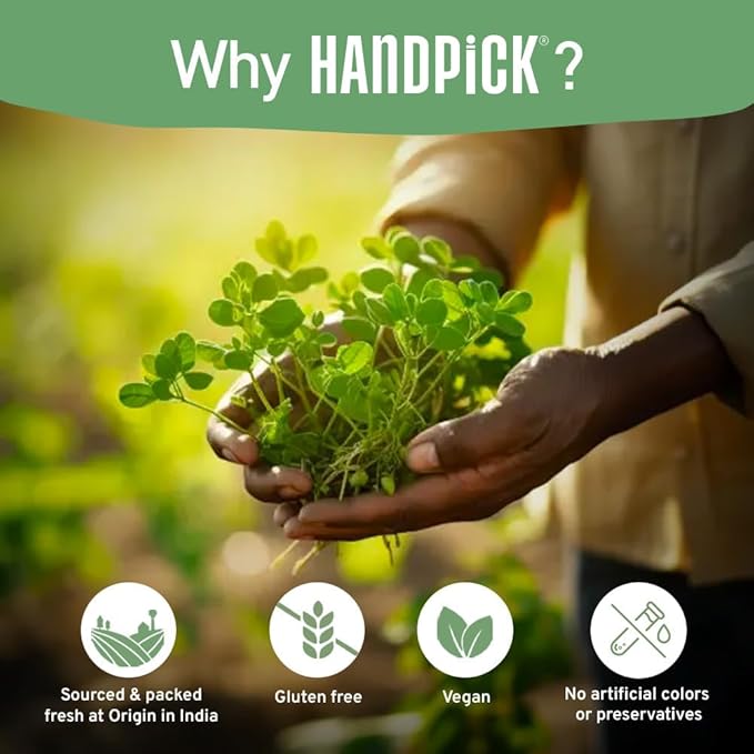 HANDPICK, Organic Moringa Tea Bags (100 Count) Non-GMO, Caffeine Free, Pure Moringa Leaves | Sweet and Light Herbal Tea Bags, Round Eco-conscious Teabags