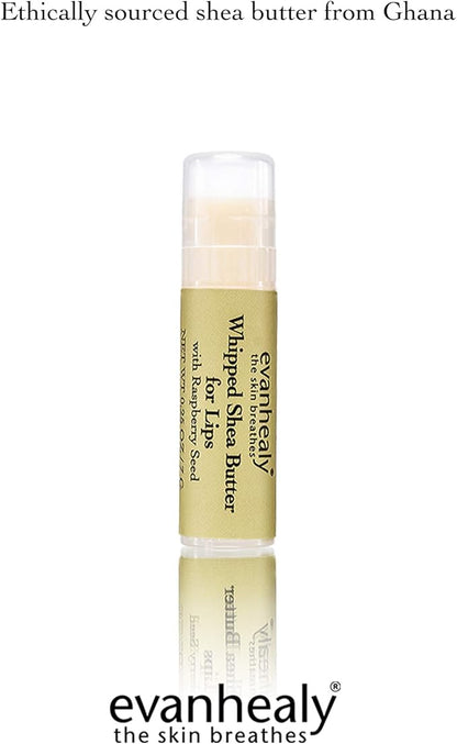 evanhealy Whipped Shea Butter for Lips Balm