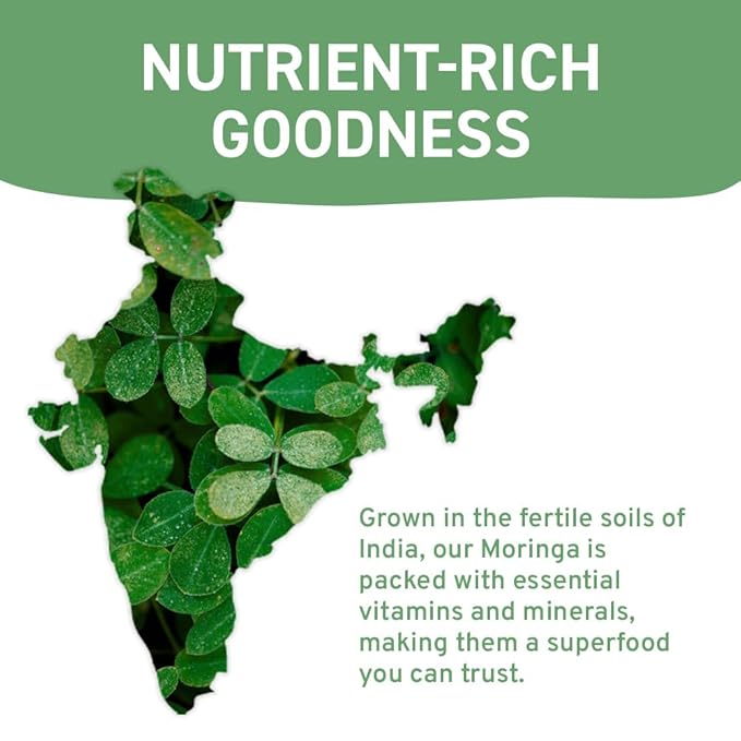 HANDPICK, Organic Moringa Tea Bags (100 Count) Non-GMO, Caffeine Free, Pure Moringa Leaves | Sweet and Light Herbal Tea Bags, Round Eco-conscious Teabags