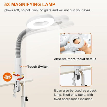 2 in 1 Facial Steamer, Professional Facial Steamers with 5X Magnifying Lamp, Face Steamer for Esthetician, Facial Steamer for Home Beauty Salon SPA