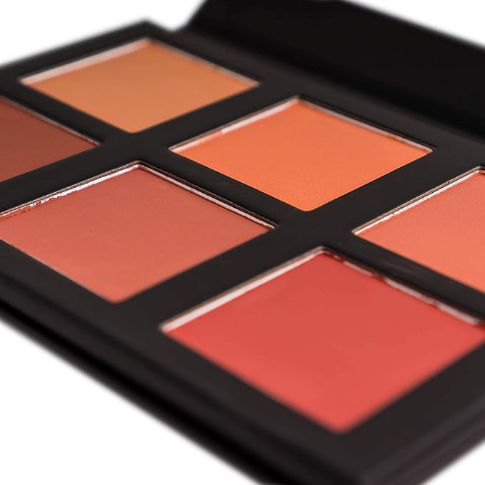 SHANY Shimmer & Matte Powder Blush Makeup Palette